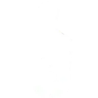 Blindfire