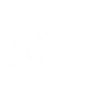 Bonus Elixir
