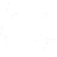 Cascade