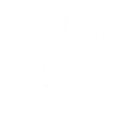 Decay Echo