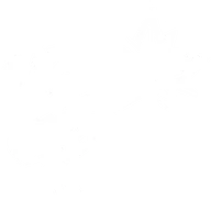 Fire Rate Boost