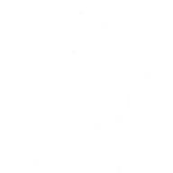 Last Elixir