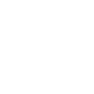 Phantom Bullets