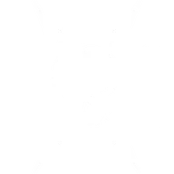 Thunderbolt