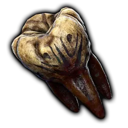 Painted Tooth