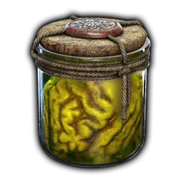 Parasite